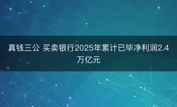 真钱三公 买卖银行2025年累计已毕净利润2.4万亿元