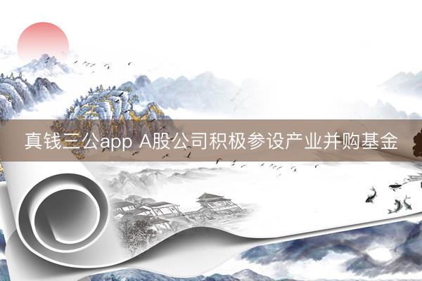 真钱三公app A股公司积极参设产业并购基金