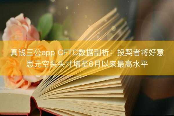 真钱三公app CFTC数据剖析:投契者将好意思元空头头寸增至6月以来最高水平