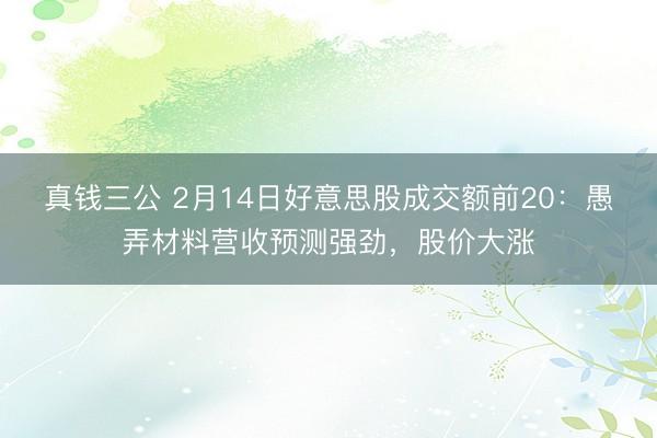 真钱三公 2月14日好意思股成交额前20:愚弄材料营收预测强劲,股价大涨