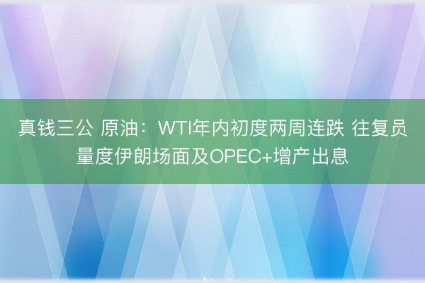 真钱三公 原油：WTI年内初度两周连跌 往复员量度伊朗场面及OPEC+增产出息