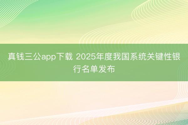 真钱三公app下载 2025年度我国系统关键性银行名单发布