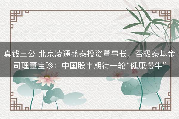 真钱三公 北京凌通盛泰投资董事长、否极泰基金司理董宝珍：中国股市期待一轮“健康慢牛”