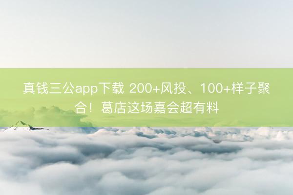 真钱三公app下载 200+风投、100+样子聚合！葛店这场嘉会超有料