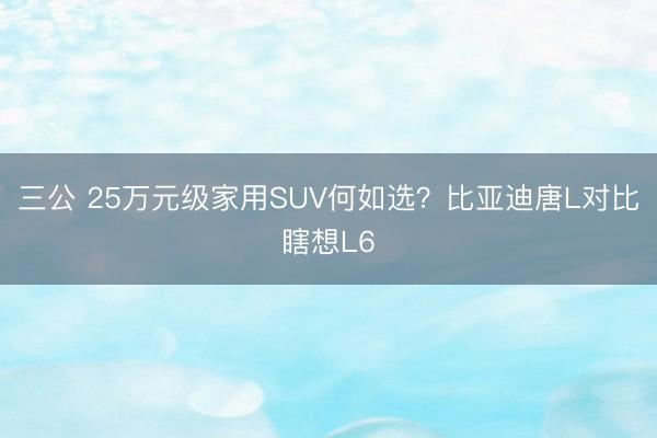 三公 25万元级家用SUV何如选？比亚迪唐L对比瞎想L6