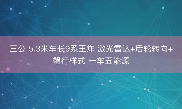 三公 5.3米车长9系王炸 激光雷达+后轮转向+蟹行样式 一车五能源
