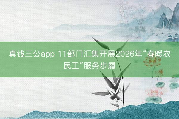真钱三公app 11部门汇集开展2026年“春暖农民工”服务步履
