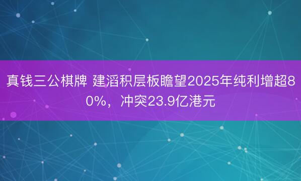真钱三公棋牌 建滔积层板瞻望2025年纯利增超80%，冲突23.9亿港元