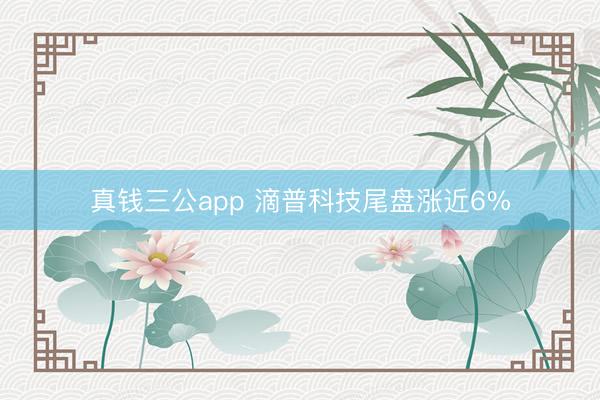 真钱三公app 滴普科技尾盘涨近6%