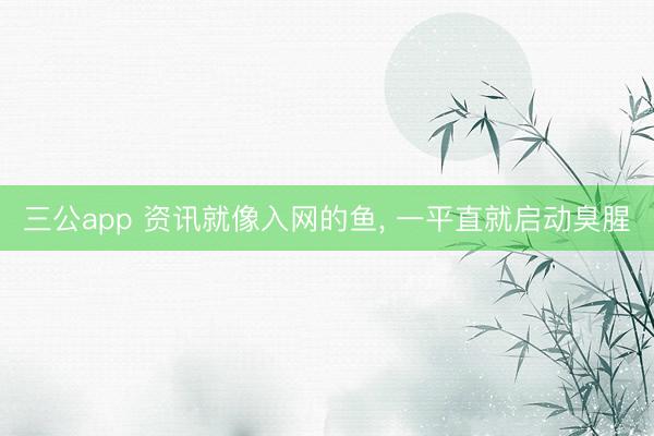 三公app 资讯就像入网的鱼， 一平直就启动臭腥