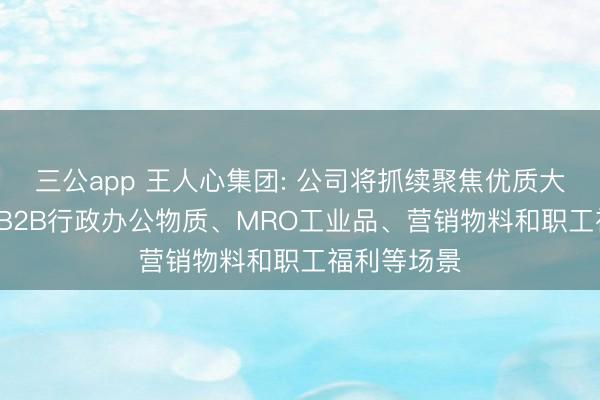 三公app 王人心集团: 公司将抓续聚焦优质大客户, 聚焦B2B行政办公物质、MRO工业品、营销物料和职工福利等场景