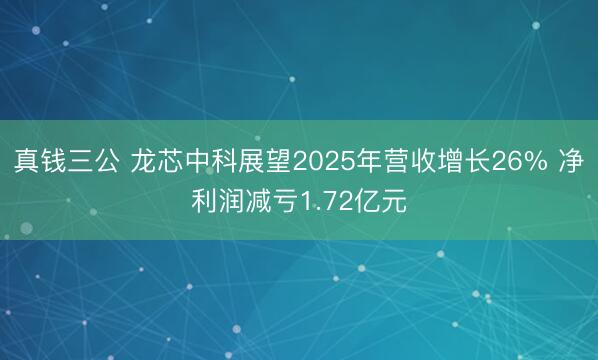 真钱三公 龙芯中科展望2025年营收增长26% 净利润减亏1.72亿元