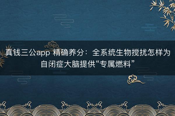 真钱三公app 精确养分:全系统生物搅扰怎样为自闭症大脑提供“专属燃料”