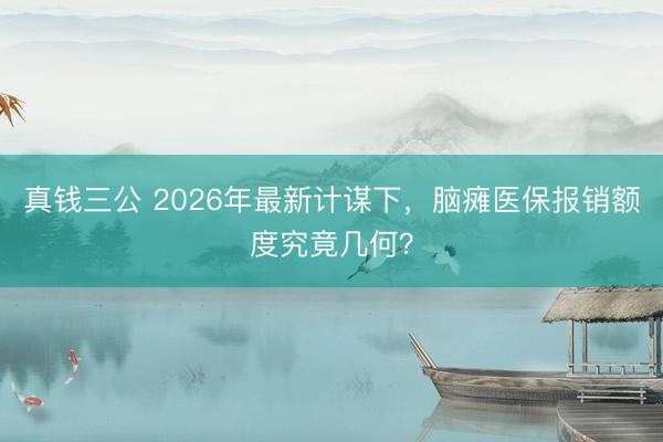 真钱三公 2026年最新计谋下，脑瘫医保报销额度究竟几何？