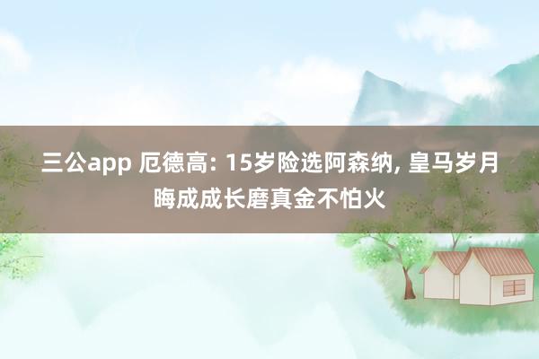 三公app 厄德高: 15岁险选阿森纳， 皇马岁月晦成成长磨真金不怕火