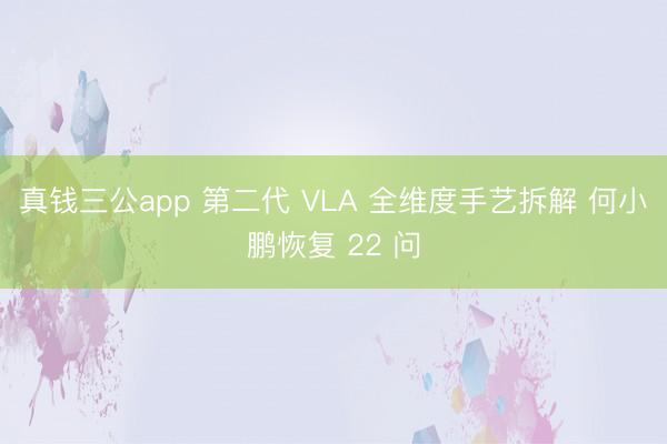 真钱三公app 第二代 VLA 全维度手艺拆解 何小鹏恢复 22 问