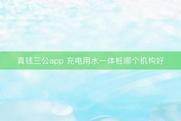 真钱三公app 充电用水一体桩哪个机构好