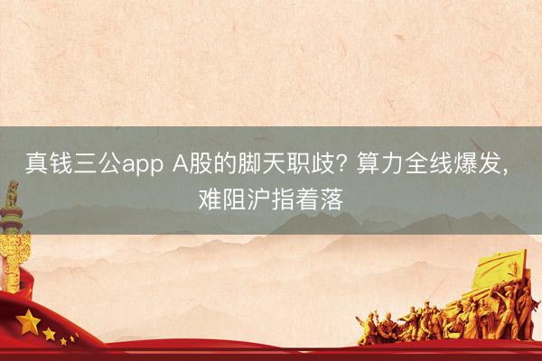 真钱三公app A股的脚天职歧? 算力全线爆发， 难阻沪指着落