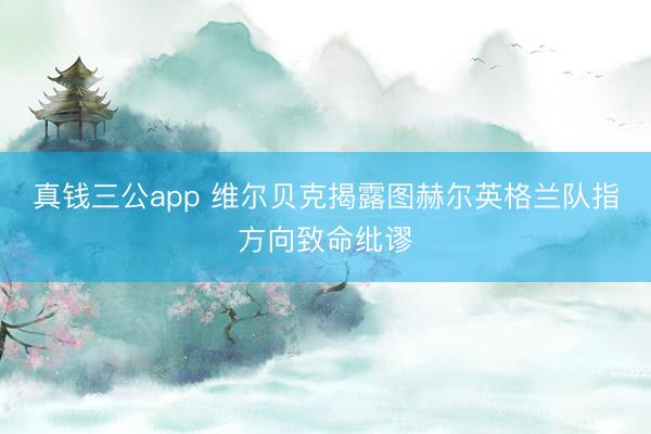 真钱三公app 维尔贝克揭露图赫尔英格兰队指方向致命纰谬