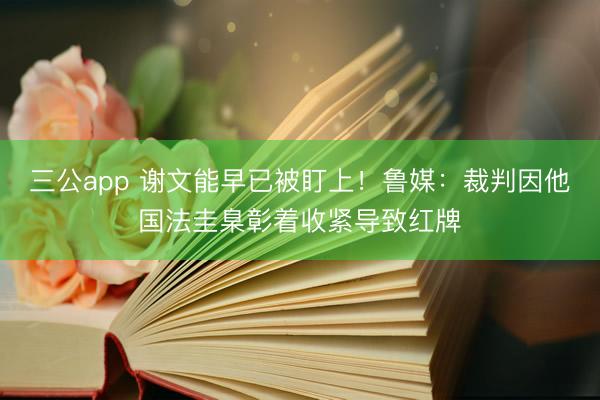 三公app 谢文能早已被盯上！鲁媒：裁判因他国法圭臬彰着收紧导致红牌
