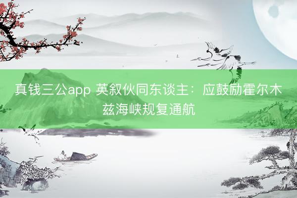 真钱三公app 英叙伙同东谈主:应鼓励霍尔木兹海峡规复通航
