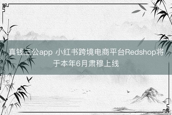 真钱三公app 小红书跨境电商平台Redshop将于本年6月肃穆上线