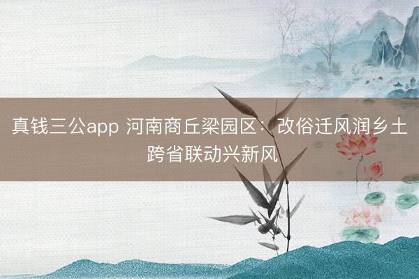 真钱三公app 河南商丘梁园区:改俗迁风润乡土 跨省联动兴新风