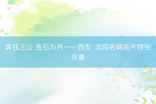 真钱三公 金石为开——西安·沈阳名碑拓片特张开幕