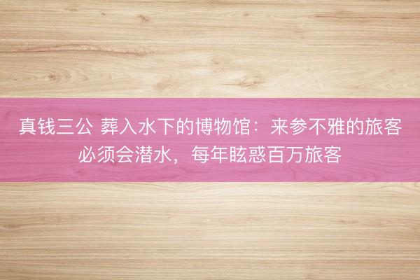 真钱三公 葬入水下的博物馆：来参不雅的旅客必须会潜水，每年眩惑百万旅客