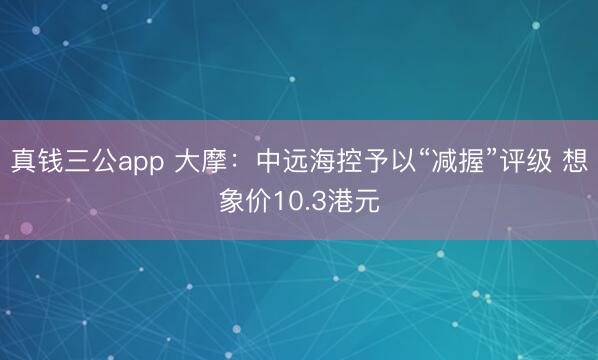 真钱三公app 大摩：中远海控予以“减握”评级 想象价10.3港元