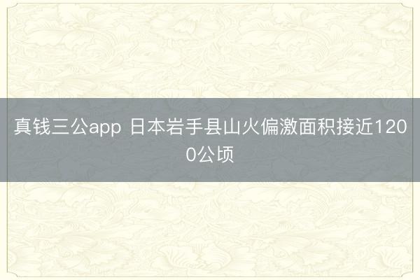 真钱三公app 日本岩手县山火偏激面积接近1200公顷
