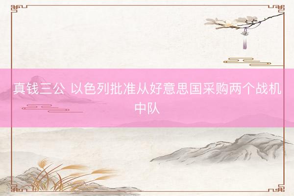 真钱三公 以色列批准从好意思国采购两个战机中队