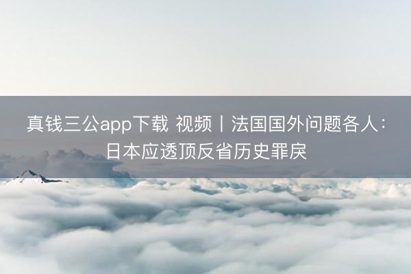 真钱三公app下载 视频丨法国国外问题各人：日本应透顶反省历史罪戾